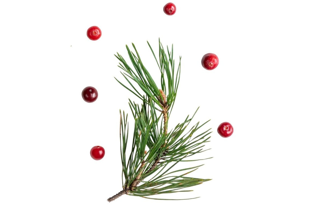 Cranberry & Pine – Can't make up your mind to use Cranberry or Pine the better of 2 worlds.  Sweet Pine with tones of Cranberry.  Just perfect for your holiday entertainment or at home alone.   Scent throw: med/strong